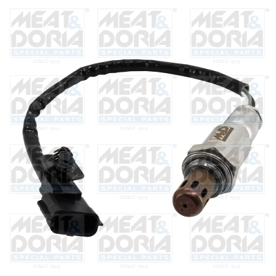 Oxygen Sensor